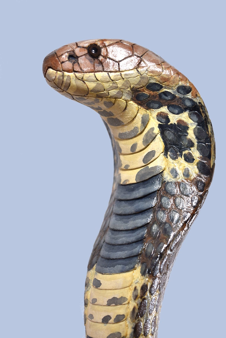 Common cobra snake wooden walking stick, hand carved cane art wood snake sculpture, snake walking stick for sale image 5