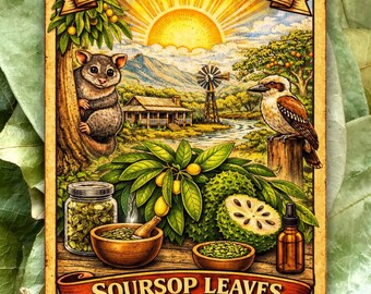 Dried Soursop Leaves 30g (Graviola) – Homegrown | Handpicked in Queensland