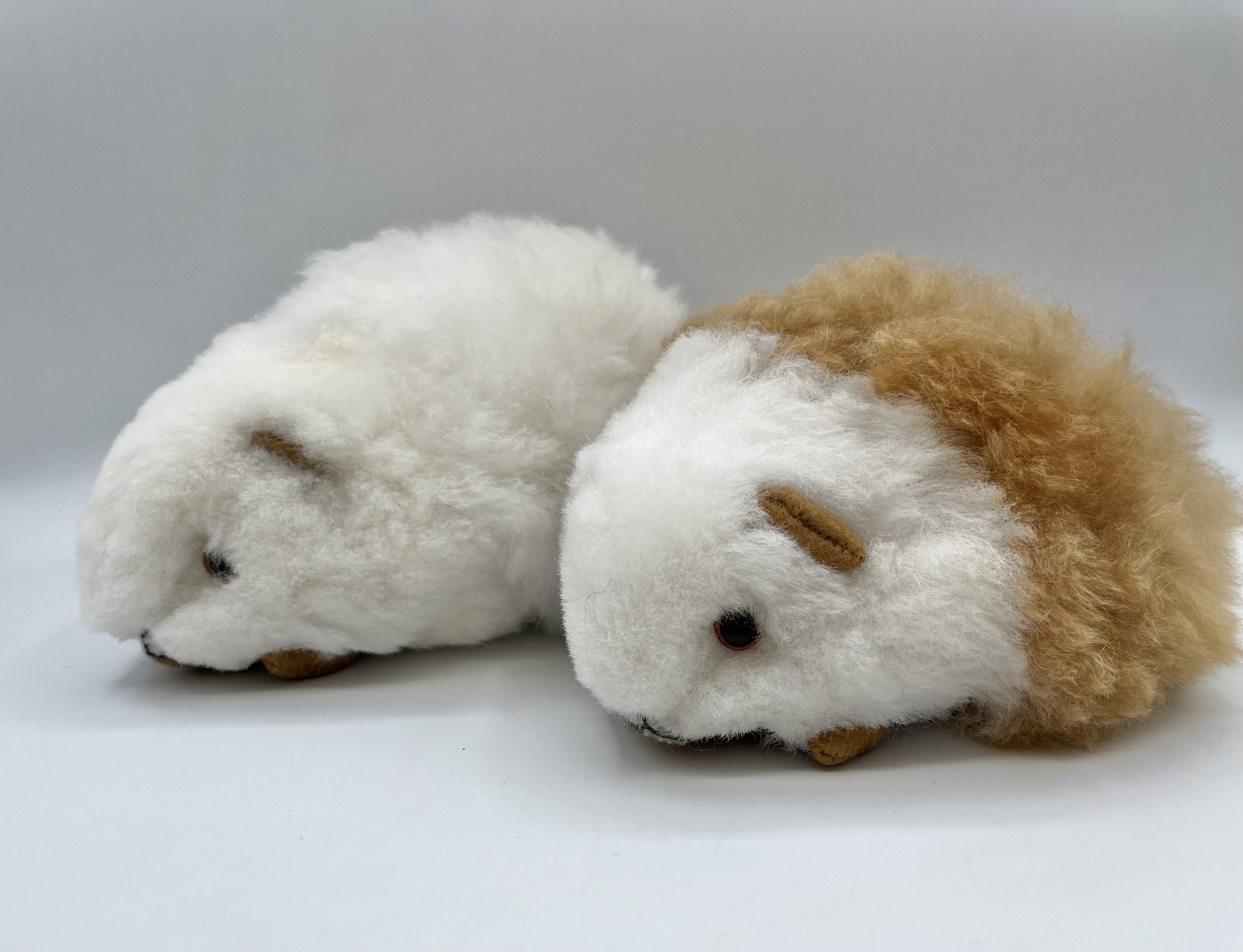 Stuffed on sale guinea pig