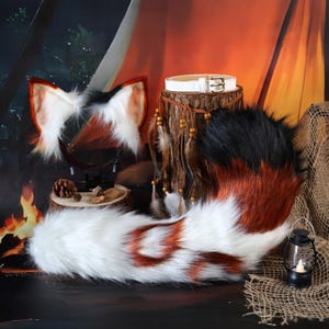 Può includere: Un set cosplay con una coda di volpe soffice, orecchie e una cintura bianca. La coda è bianca con accenti marroni e neri. Le orecchie sono bianche con punte marroni e nere. La cintura è bianca con una fibbia argentata.