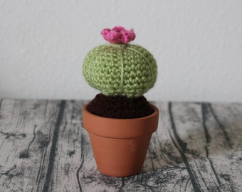 Stuffed Barrel Cactus – Crochet Succulent – Amigurumi