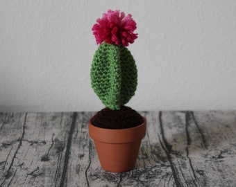Stuffed Moon Cactus – Crochet Succulent – Amigurumi