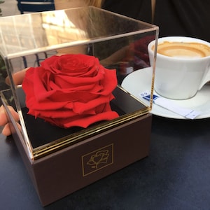 Preserved Rose - gift box - infinity - éternelle - decoration