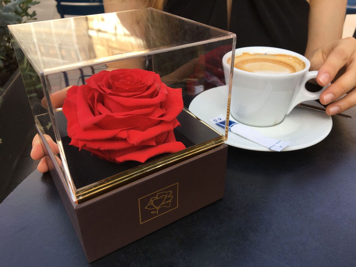 Preserved Rose - Gift Box Infinity Éternelle Rosebox Birdrose
