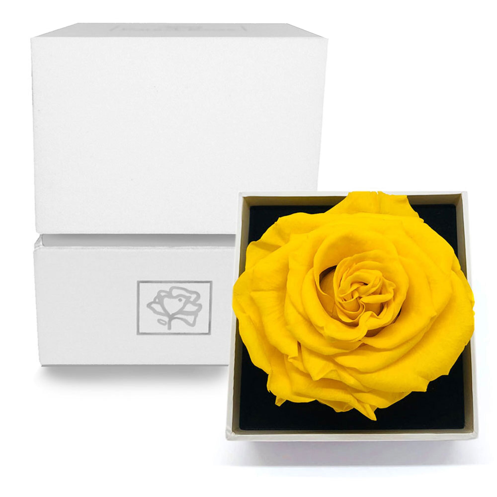 The Eternity Rose – 16 Konservierte Rosen In Weißer Luxusbox, Ewige Blumen Für Valentinstag & Jahrestag