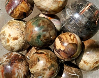 Polished Petrified Wood Sphere: Madagascar Crystal Ball