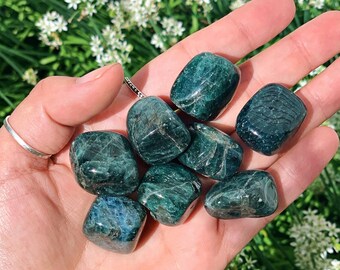 Apatite Tumbled Stone | Tumbled Crystals | Polished Crystal Tumbles