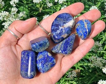 Lapis Lazuli Tumbled Crystal - Single Blue Healing Stone for Wisdom and Truth, Ideal for Meditation, Chakra Balancing, and Spiritual Growth