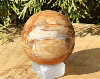 Petrified Wood Ball 07 Brown Orange Wood Fossilized Tree Trunk Crystal Sphere Grounding Stone 3.8 Satin Crystals petrifiedwoodball7a Petrified Wood Ball 07 Brown Orange Wood Fossilized Tree Trunk Crystal Sphere Grounding Stone 3.8 Satin Crystals petrifiedwoodball7a