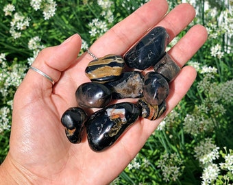 Black Onyx Tumbled Stones black onyx tumbled crystals tumbled black onyx healing crystals polished black onyx crystals