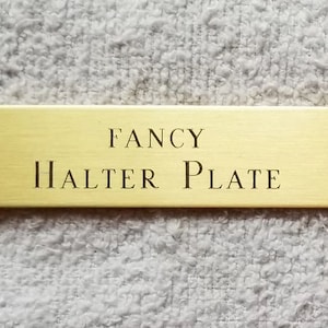 Fancy Halter Plate