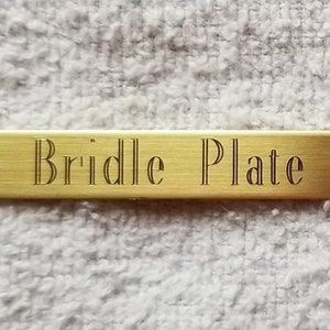 May include: A gold-colored metal plate with rounded edges and two holes. The plate has the words "Bridle Plate" engraved on it.