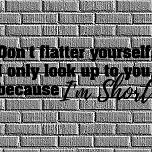 Don&#39;t flatter yourself, I only look up to you because I&#39;M SHORT