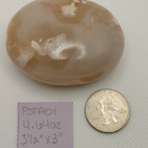 May include: A smooth, light brown agate stone with white and gray patterns. The stone is approximately 3 1/2 inches by 3 inches and weighs 4.44 ounces. The stone is labeled "Flower Agate" on a pink note card. PSFADI.