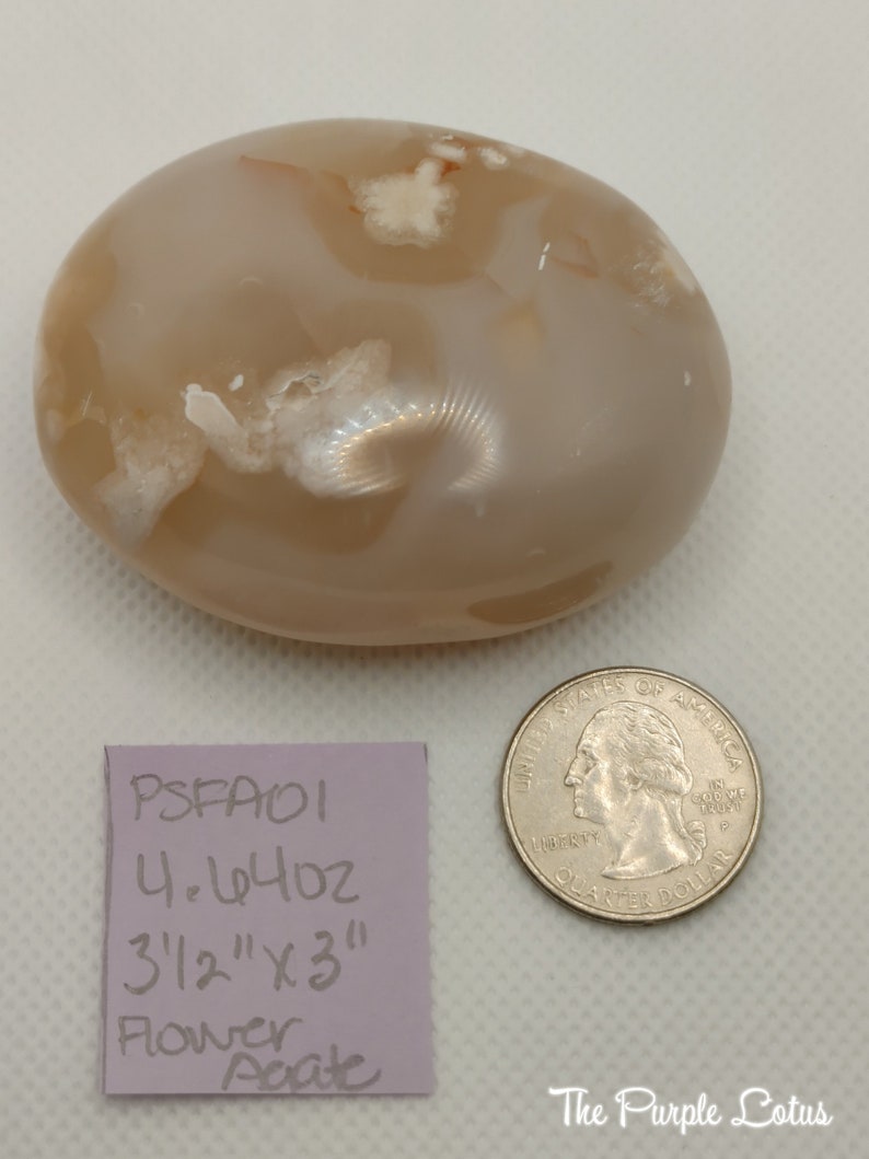 May include: A smooth, light brown agate stone with white and gray patterns. The stone is approximately 3 1/2 inches by 3 inches and weighs 4.44 ounces. The stone is labeled "Flower Agate" on a pink note card. PSFADI.