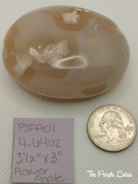 Flower Agate Palm Stone, Self Growth, Motivation, Passion, Protection, Manifesting, Healing, Love, Abundance (4.64 oz, 3 1/2" x 3")