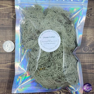 Usnea Lichen Whole, 1 oz BAG, Clarity, Protection, Abundance, Harmony, Hoodoo, Rootwork, Metaphysical