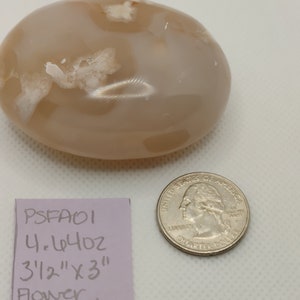 May include: A light brown flower agate stone with white markings. The stone is 3 1/2 inches by 3 inches and weighs 4.44 ounces. The stone is sitting on a white surface next to a US quarter.