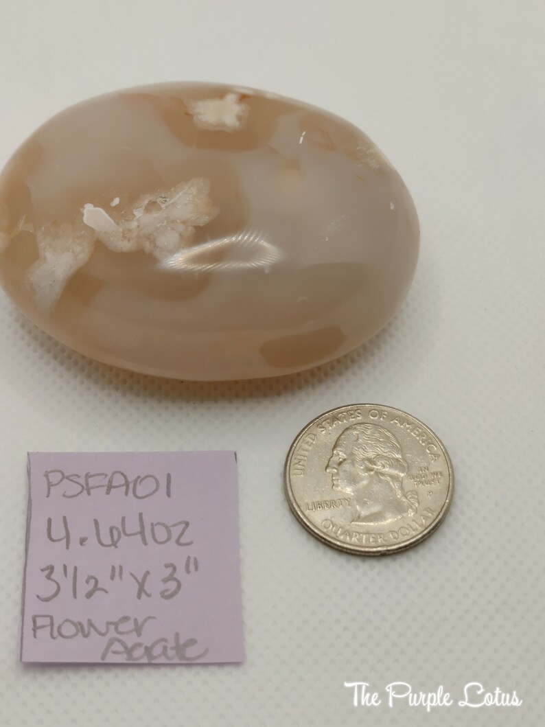 May include: A light brown flower agate stone with white markings. The stone is 3 1/2 inches by 3 inches and weighs 4.44 ounces. The stone is sitting on a white surface next to a US quarter.