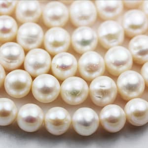Pérola de água doce, fio de pérola branco redondo de 10-11 mm, furo 0,8 mm, um fio completo de 15,5&quot;