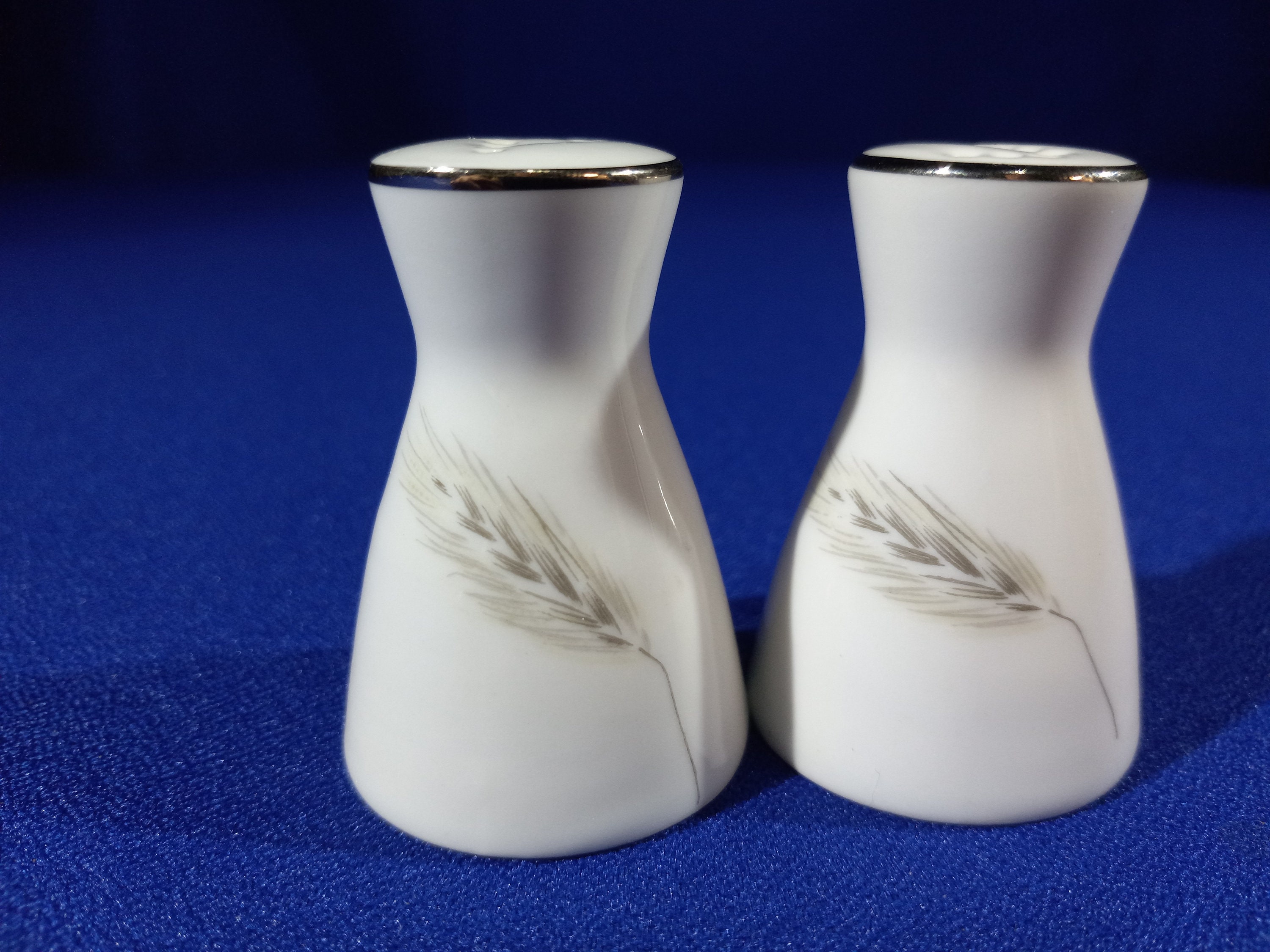 Rosenthal Salt and Pepper Set - Etsy