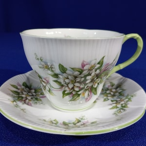 Footed Cup & Saucer Set Blossom Time Series by ROYAL ALBERT- Orange BLOSSOM