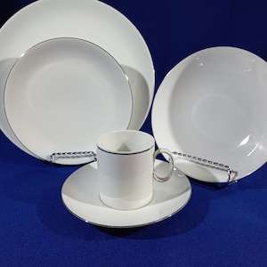30 Pcs (6x 5 Piece Place Setting)  PLATINUM BAND  by THOMAS/Rosenthal