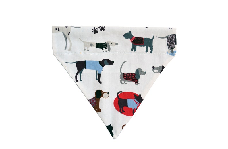 personalised pet accessories