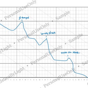 May include: A hand-drawn blue line graph on a grid, with the y-axis labeled from 195 to 200. The graph shows a downward trend with annotations: "gf dumpel", "lonely pizza", and "mak on steak". The words "Personal Use Only" are watermarked.
