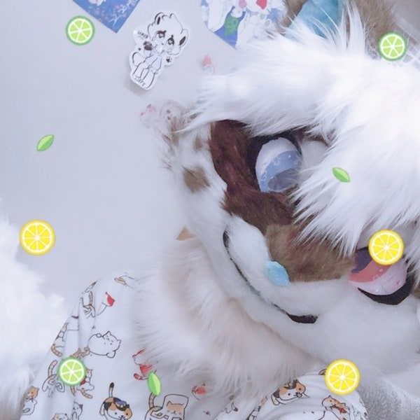 Cute Premade Kemono Fursuit Head Feline