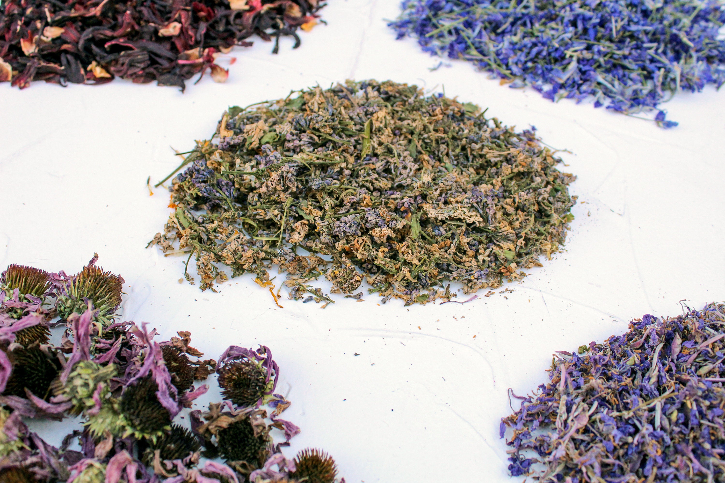 1lb of Dried Flowers Petals 35 Types Biodegradable Etsy