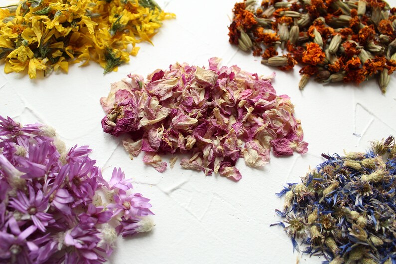 35 types of petals and flowers Petals confetti Dried Etsy
