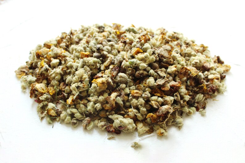 1 Lb of Mullein verbascum Flowers Dried High Quality Etsy