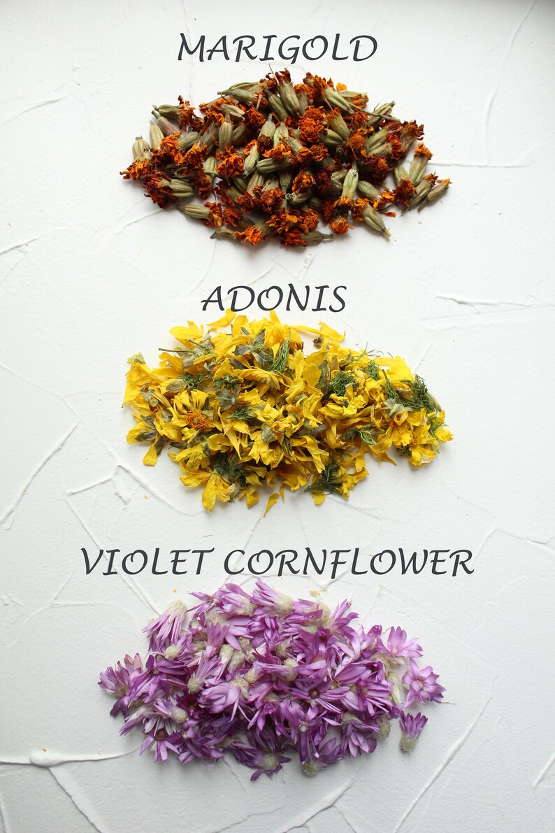 35 types of petals and flowers Petals confetti Dried Etsy