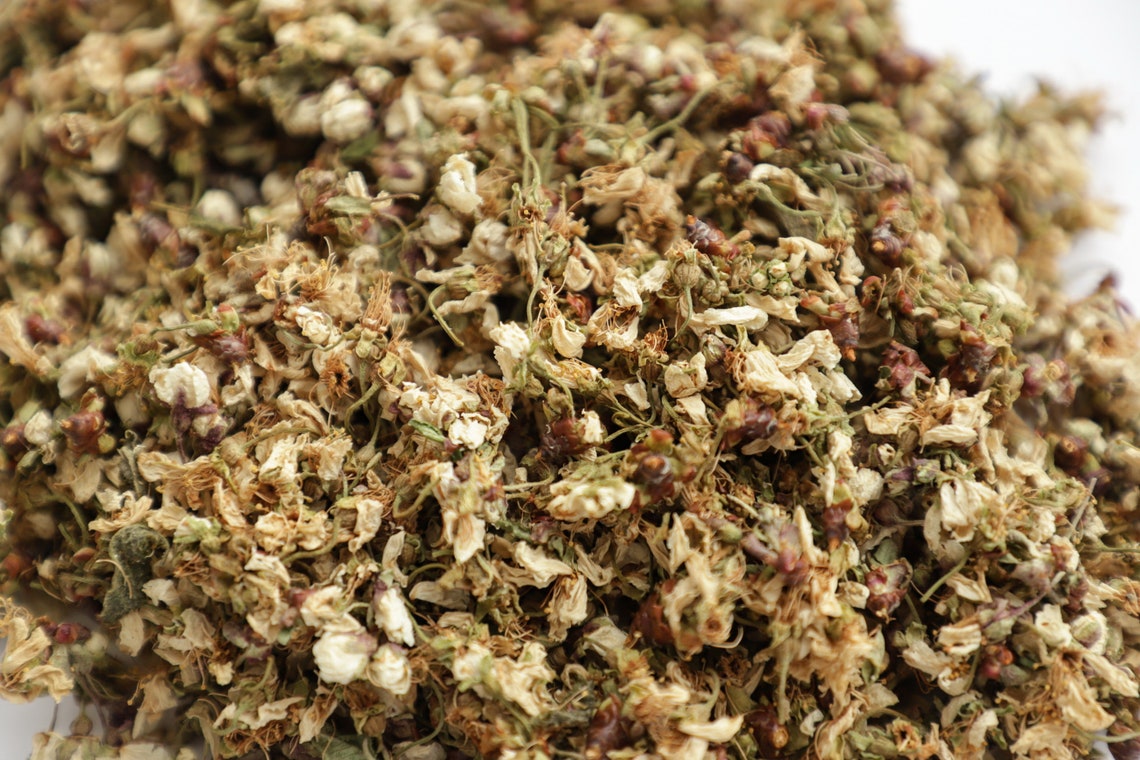 Cherry Blossom Dried Cherry Flowers Dried Cherry Petals Etsy