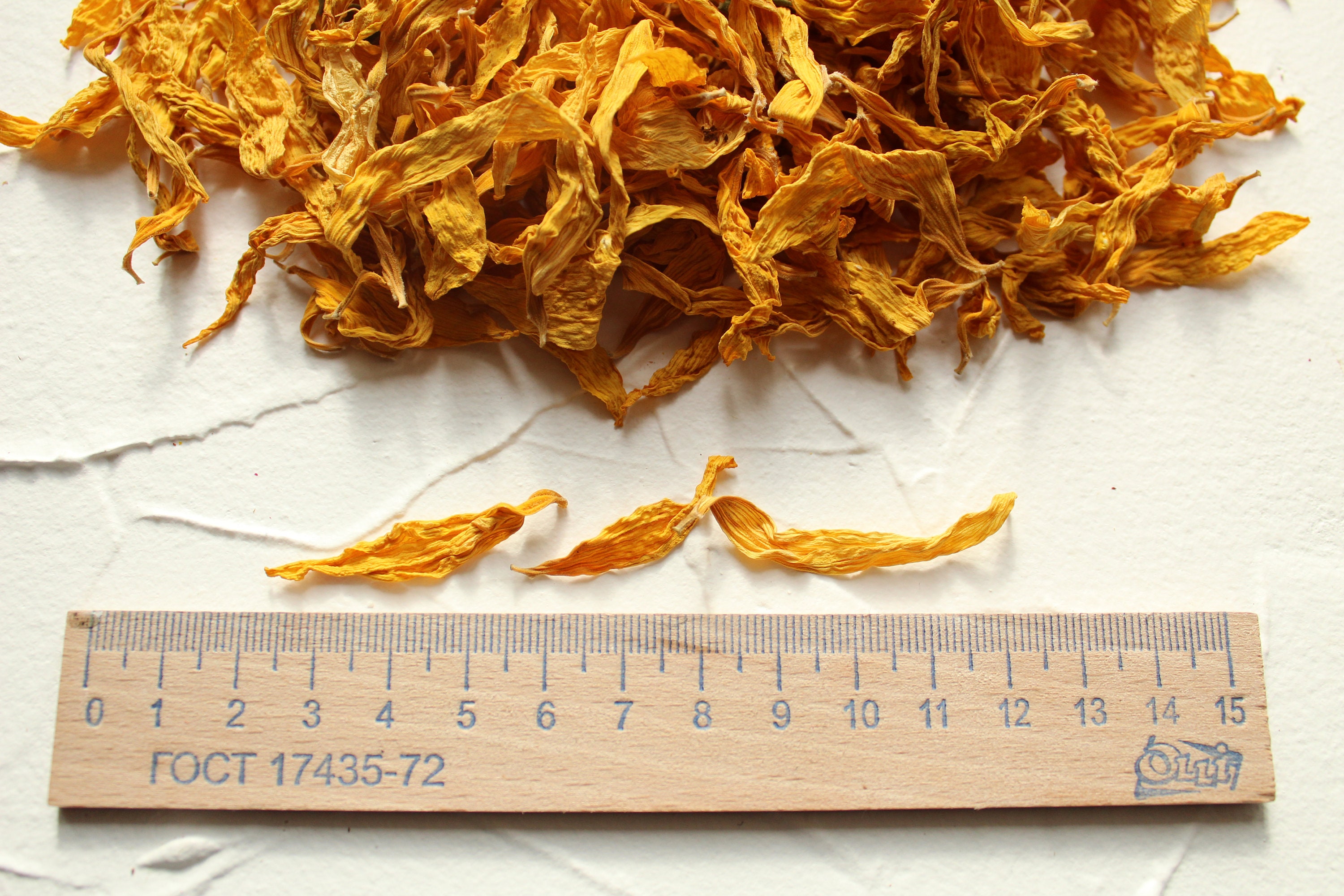 Sunflower Petals Dried High Quality Natural Organic Etsy