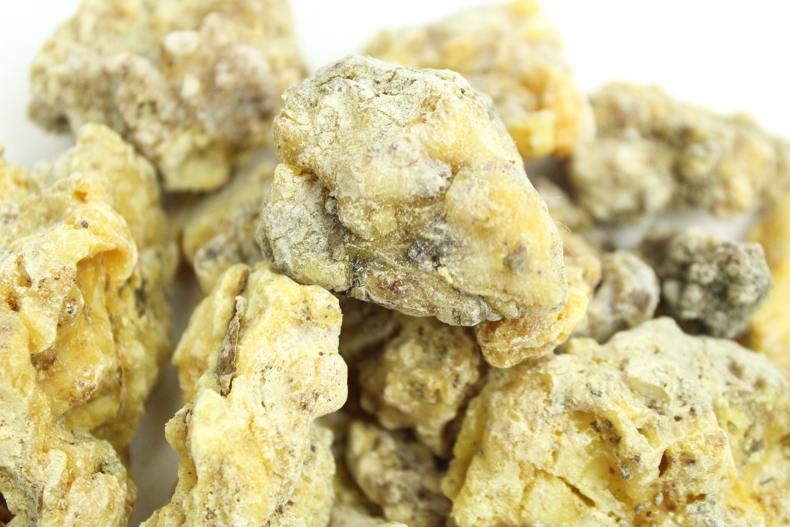 Natural Fresh Pine Resin Pine Sap Organic Wild Grown Pine Etsy