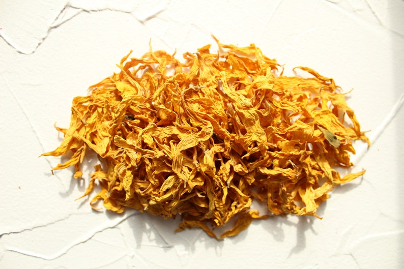 Sunflower Petals Dried High Quality Natural Organic Etsy