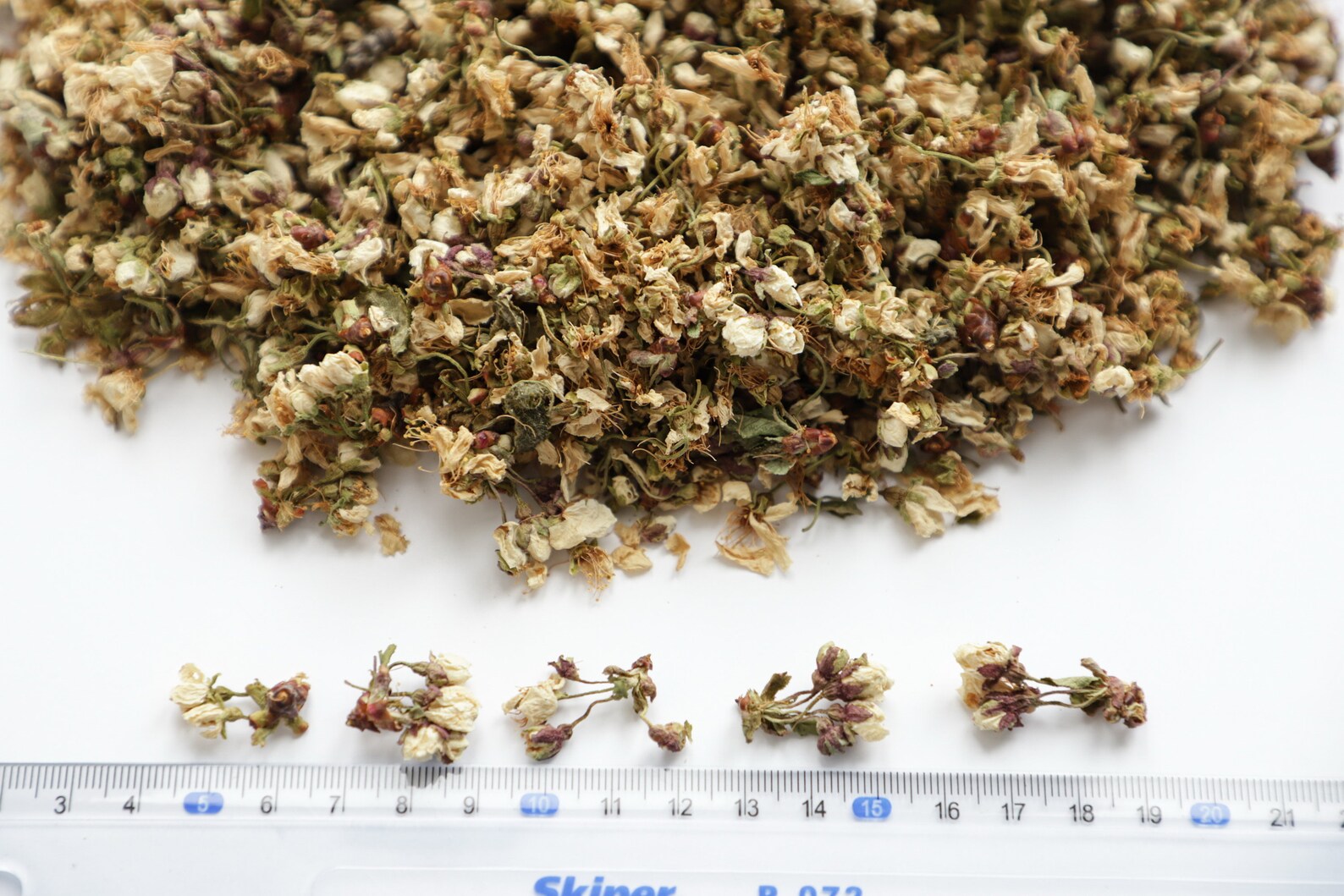 Cherry Blossom Dried Cherry Flowers Dried Cherry Petals Etsy