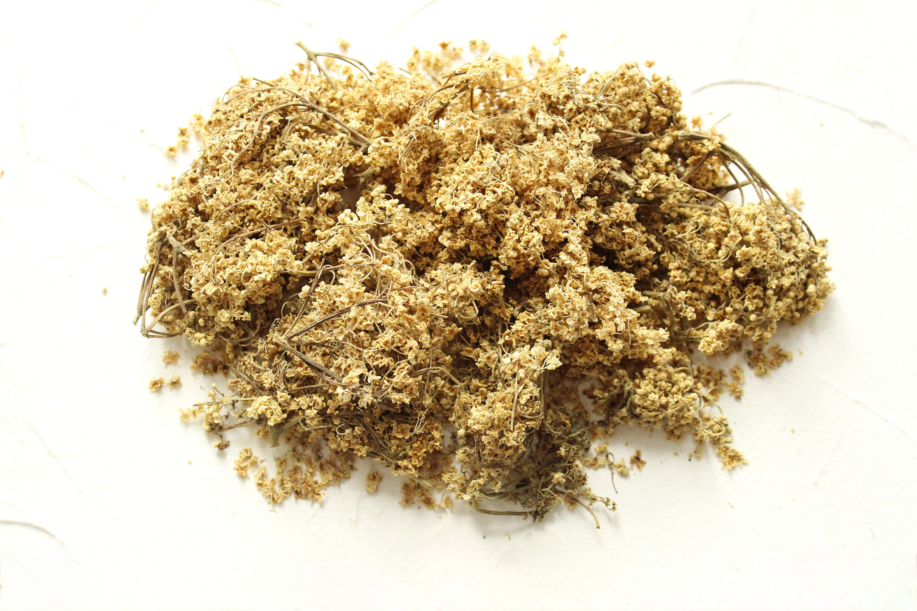 Organic dried Elderflower Sambucus flowers on stems Etsy