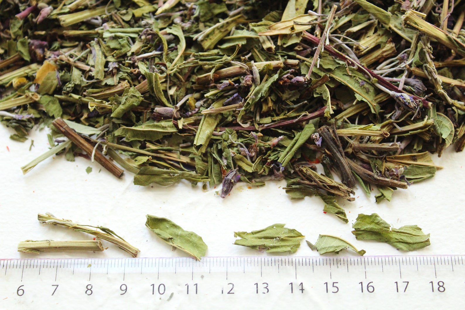 8.82 OZ 250 grams of Wildcrafted Ivan Tea Willow herb Etsy