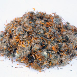 Arnica Montana Dried Flowers Organic High Quality Natural - Etsy