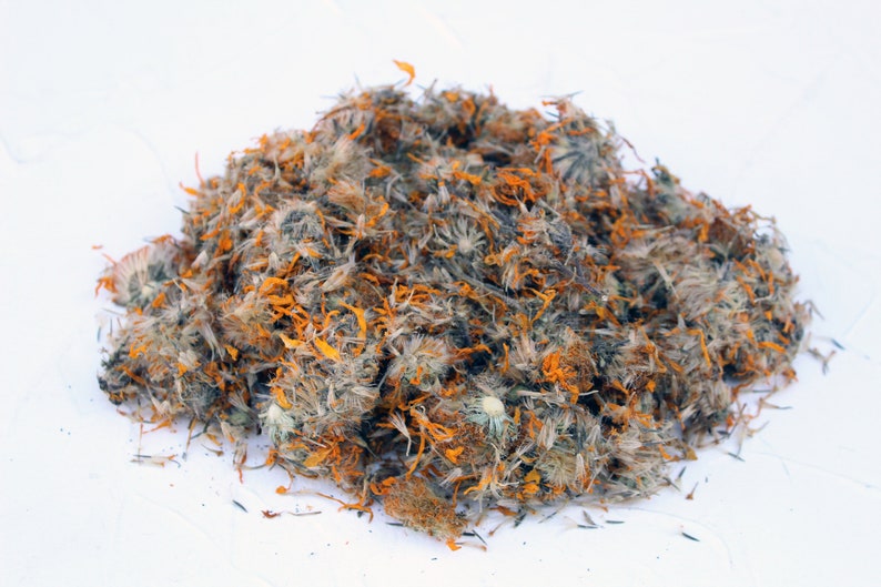 Arnica Montana Dried Flowers Organic High Quality Natural Etsy