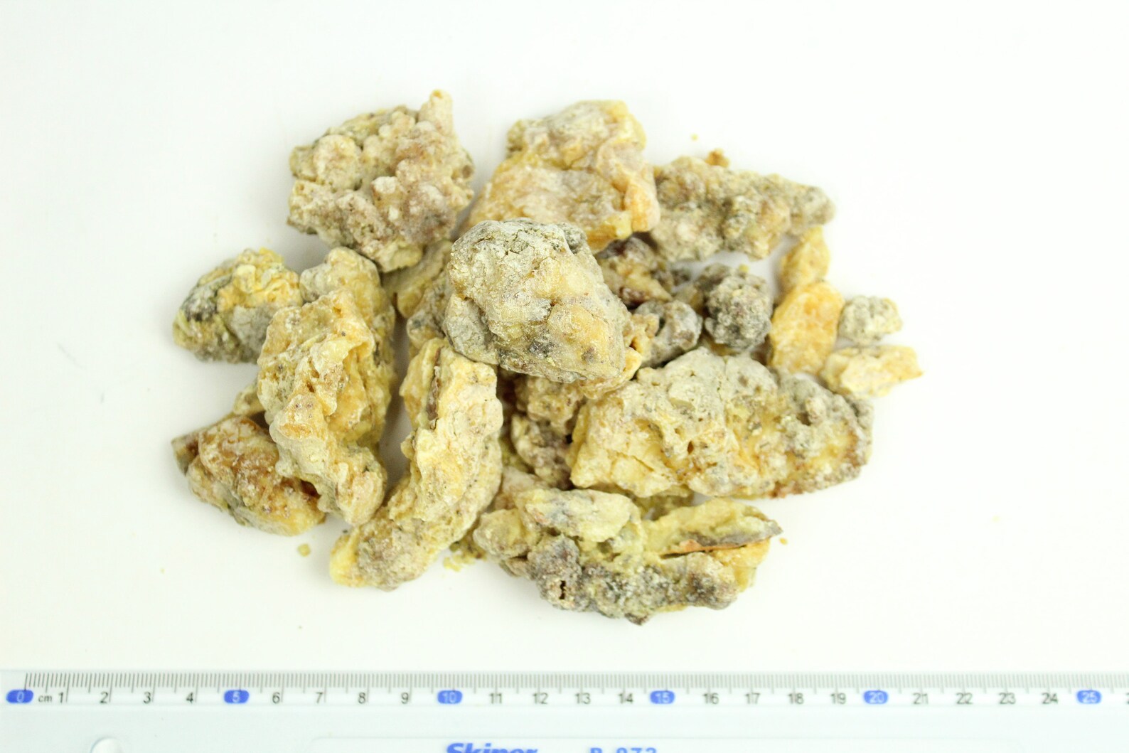 Natural Fresh Pine Resin Pine Sap Organic Wild Grown Pine Etsy