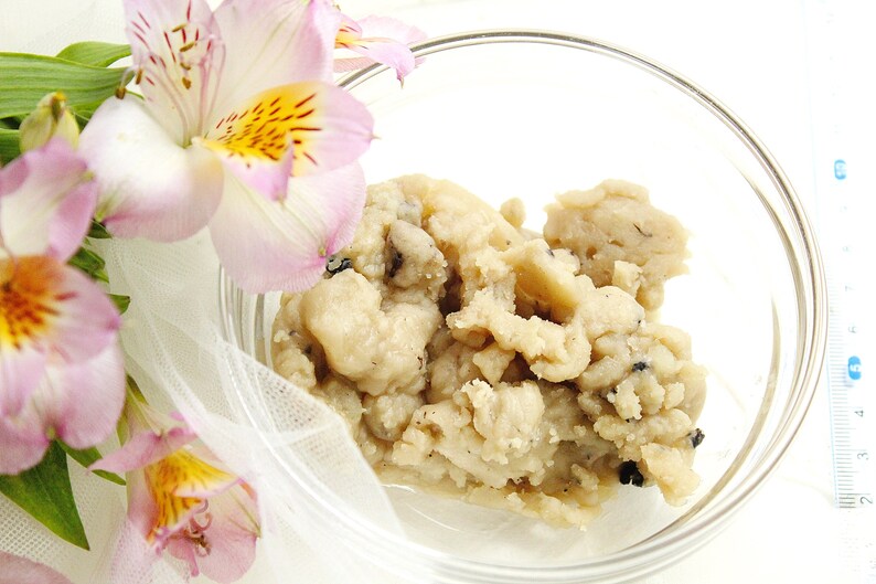 Résine de pin frais naturel sève de pin bio sauvage Etsy