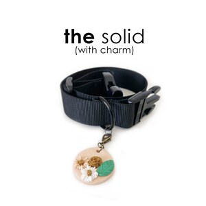 The Solid
