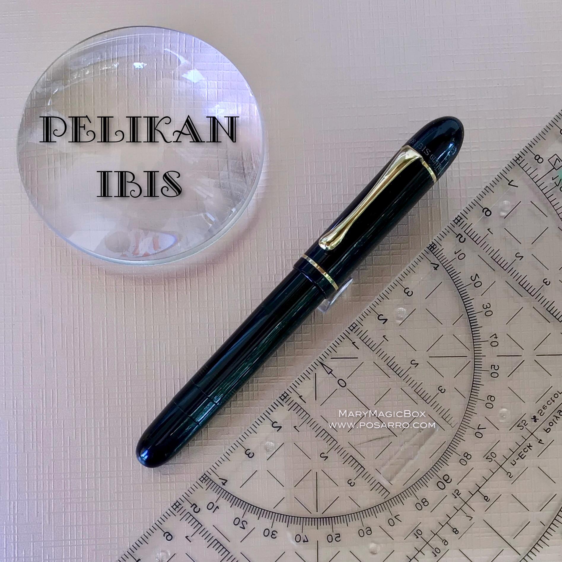 筆記具 Pelikan IBIS DF 1953 The Penguin