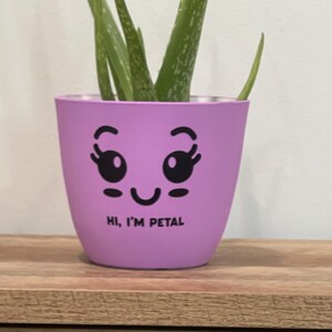 Hand-Painted Lavender Petal Pot Cover – 6 Inch Planter – Character Design-Mother’s Day Fift Idea