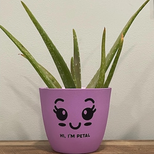 May include: A potted aloe vera plant in a lavender-colored pot with a smiling face design. The pot has the text "HI, I'M PETAL" and is sitting on a wooden surface. The aloe vera plant has long, green leaves.