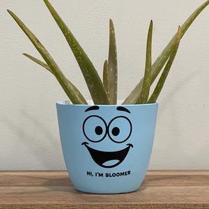 Bloomer Hand-Painted Pot Cover – Morning Blue – Personality Planter – Mother’s Day Gift Ideas